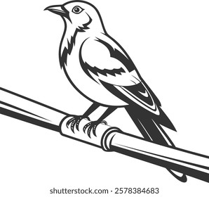 This elegant black and white line art illustration showcases a detailed songbird perched on a branch, emphasizing the beauty of nature with a minimalist and modern aesthetic