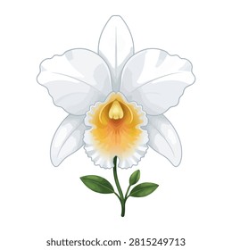 This elegant white orchid illustration features a delicate bloom with a soft yellow center resting on a simple green stem. The clean artwork is isolated on a white background making it perfect for botanical projects floral designs or wedding invitations.