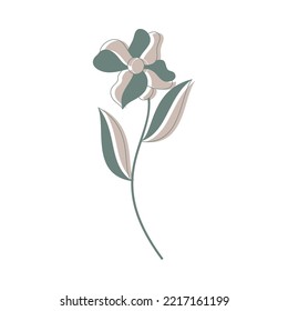 This element is very suitable for wedding invitations, aesthetic designs, decorations, posters, social media content, and other designs.