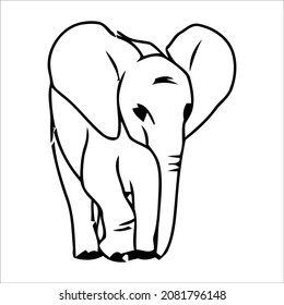 This is elephant outline drawing 