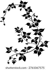 This evocative image showcases the elegant silhouette of an ivy vine branch, gracefully curving upwards and adorned with a lush array of heart-shaped leaves and delicate tendrils. The stark black outlines against a pure white background beautifully emphasize the organic flow and intricate details of the climbing plant. Ivy, a symbol of eternity, friendship, and strong attachment, lends a rich, symbolic meaning to this botanical illustration. It's a versatile design element, perfect for adding a touch of natural charm and sophistication to invitations, labels, textiles, or decorative accents. The clean, high-contrast presentation makes it suitable for both modern and traditional themes, representing resilience, growth, and the timeless beauty of the natural world.