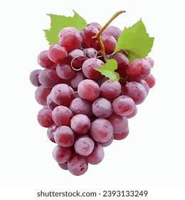 This is an example of a vector image of a grape