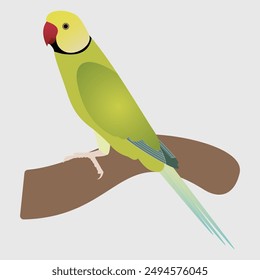 This exquisite turquoise pallid parrot vector showcases a vibrant green parrot perched gracefully on a branch