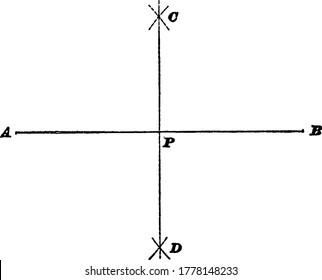 This figure shows the division of line AB at point P, vintage line drawing or engraving illustration.