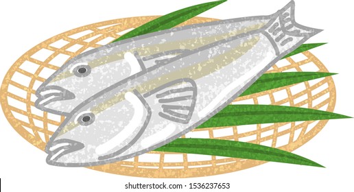 This is a fish often eaten in Japan.This is illustration drawn in hand drawn style.