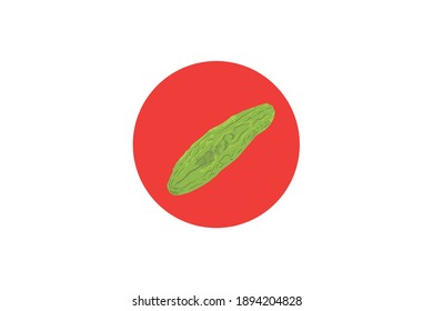 This Is A Flat Icon bitter melon Design