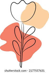 This is the flower background