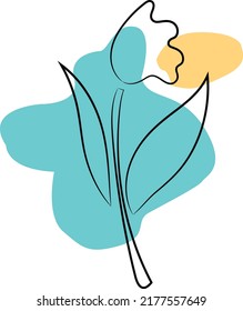 This is the flower background