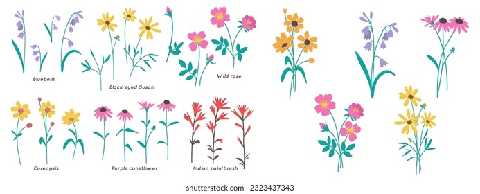 This flower clip art set includes hand-drawn wildflower elements and bouquets. Nature-inspired minimalistic and simple bundle. Vector illustration.