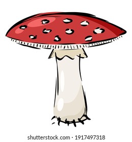 This is a fly agaric. This is a comic book style mushroom illustration.