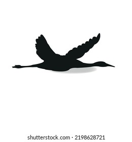 This is a flying bird