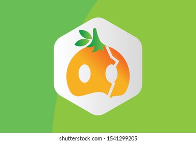 This is a fruit mask logo with two leaves. This logo is very interesting. This logo is orange and green. This logo can be used for companies, websites, applications, brochures, and posters.
