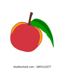 Esta ilustración vectorial de fruto, puede ser utilizada para diversas necesidades como libros o animaciones, imágenes o videos complementarios. fruta hermosa y atractiva

