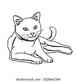 This Funny Crazyinsanecoloring Cat Example Coloring Stock Vector ...