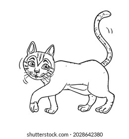 this is funny crazy,insane,coloring cat with an example.use for coloring book,drawing.cartoon character,isolated on white beckground vector illustration. 