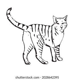 this is funny crazy,insane,coloring cat with an example.use for coloring book,drawing.cartoon character,isolated on white beckground vector illustration. 