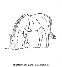 This Is A Funny Cute And Beautiful Horse Images Line Art ,Horse Outline Drawing,vector Art And Illustrations Art