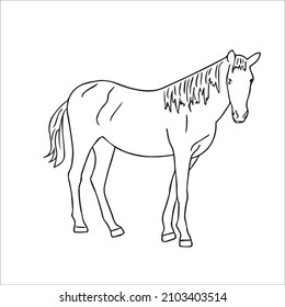 This Is A Funny Cute And Beautiful Horse Images Line Art ,Horse Outline Drawing,vector Art And Illustrations Art