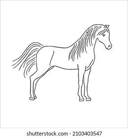 This Is A Funny Cute And Beautiful Horse Images Line Art ,Horse Outline Drawing,vector Art And Illustrations Art