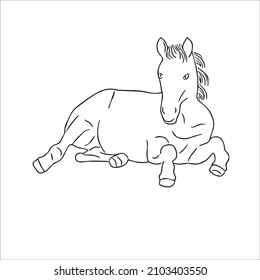 This Is A Funny Cute And Beautiful Horse Images Line Art ,Horse Outline Drawing,vector Art And Illustrations Art