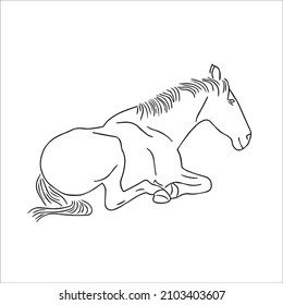 This Is A Funny Cute And Beautiful Horse Images Line Art ,Horse Outline Drawing,vector Art And Illustrations Art