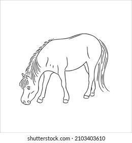 This Is A Funny Cute And Beautiful Horse Images Line Art ,Horse Outline Drawing,vector Art And Illustrations Art