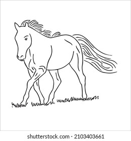 This Is A Funny Cute And Beautiful Horse Images Line Art ,Horse Outline Drawing,vector Art And Illustrations Art