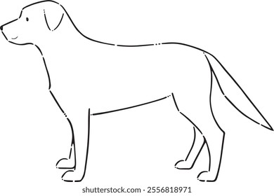 This is Golden retriever Dog line drawing.Drawing from the hands of a black thin line on a white background.Vector illustration.