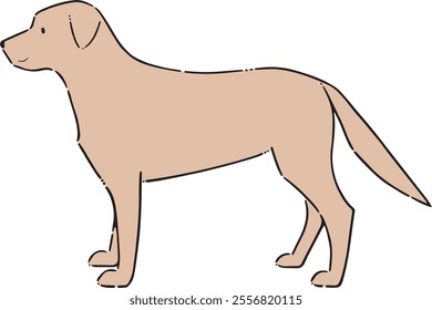 This is Golden retriever Dog line drawing.Vector illustration.