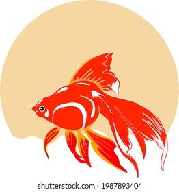 This goldfish is beautiful in the fish pond during the full moon.