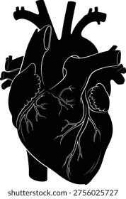 This graphic features a clean, bold silhouette of a human heart set against a stark white background. The design emphasizes the anatomical structure of the heart, including the major arteries and veins, using fine white outlines to highlight the coronary vessels that branch across the surface of the organ. The solid black fill creates a minimalist and modern aesthetic, suitable for medical educational materials, artistic projects, or symbolic representations of health and biology.