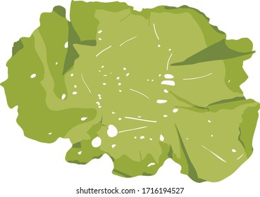 This is a green algae in the sea.