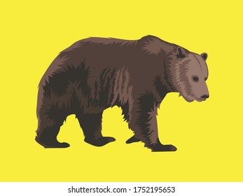 this is a grizzly bear vector, he's big and has brown hair.