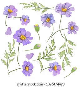 this is hand drawing of Daisy Flower