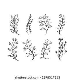 This is a hand drawn flowers vector.