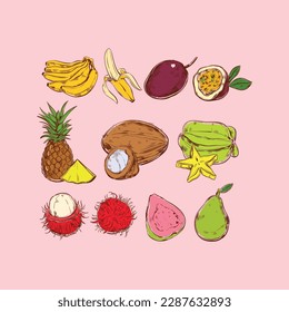 This is a hand drawn fruit collection in vector.