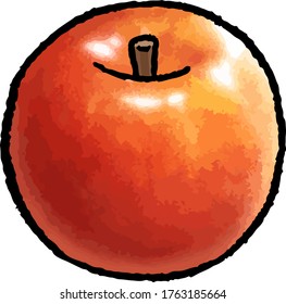 This is a hand drawn vector illustration of apples.