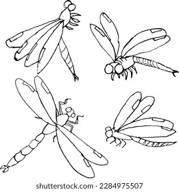This hand-drawn dragonfly icon vector illustration is a charming addition to any design project. With its intricate detailing and delicate lines, this whimsical illustration captures  personality