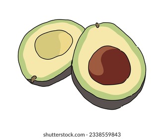 Esta es una ilustración a mano de la palca, un fruto con un contenido bastante alto de proteína y grasa. Hay una semilla grande y linda dentro de un aguacate.