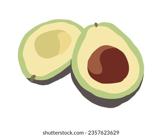 This is a hand-drawn illustration of 'Avoca', a fruit with a fairly high content of protein and fat. There is a big and cute seed inside an avocado.