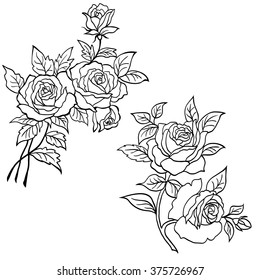This hand-drawn roses flowers vector set is perfect for
scrapbooking, wall art, postcards, greeting cards, invitations, and more! The botanical nature of the roses makes their choice for decoration