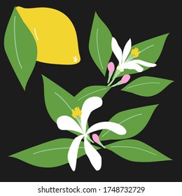 Dies ist eine handgemalte Illustration von Zitronen, Blumen und Blättern.