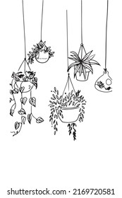 Este es un vector de planta colgante que es adecuado para diseñar ropa y pantallas de pared