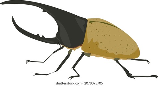 This is a Hercules beetle artwork