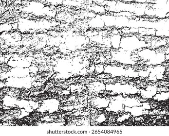 Essa imagem de alto contraste exibe uma textura abstrata detalhada com um padrão orgânico áspero. O estilo silhueta enfatiza as formas rachadas e irregulares.