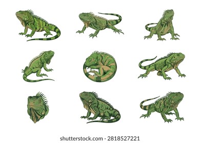 This high quality collection features nine detailed illustrations of green iguanas in various natural poses and artistic angles set against a clean white background. Each lizard is rendered with realistic scales and vibrant textures for projects.