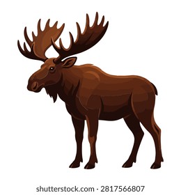 This high quality illustration showcases a majestic brown moose with impressive antlers standing tall against a plain white background. Its detailed fur texture and sturdy physique capture the powerful essence of this iconic creature from the wild boreal forests.