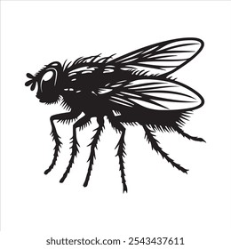 Esta Ilustración vectorial en blanco y negro de alto contraste representa una silueta detallada de una mosca doméstica. El intrincado diseño muestra las alas, las piernas y el cuerpo de la mosca con una precisión notable, lo que la hace 