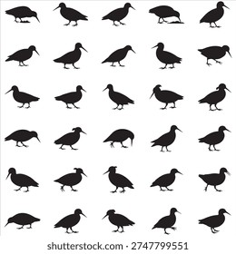 This high-quality Snipe Bird clip art features a detailed, realistic silhouette of the elusive game bird. Perfect for cricut projects, hunting decals, and nature-themed designs, this versatile vector file ensures crisp, scalable results for all your creative crafts.