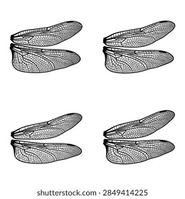 This high-quality vector illustration features a detailed and anatomically accurate set of dragonfly wings. Isolated on a white background, the graphic showcases the complex, net-like venation and transparent membrane characteristic of the Odonata order. Ideal for biological studies, educational materials, nature-themed designs, and technical illustrations requiring precise insect anatomy.
